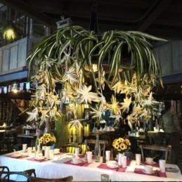 Luminária pendente estilo industrial, lustre decorado com plantas artificiais