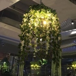 Planta moderna Luz Decorativa Estilo Industrial Lustre Loja Música