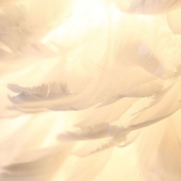 Luminária pendente decorativa Pretty Feather