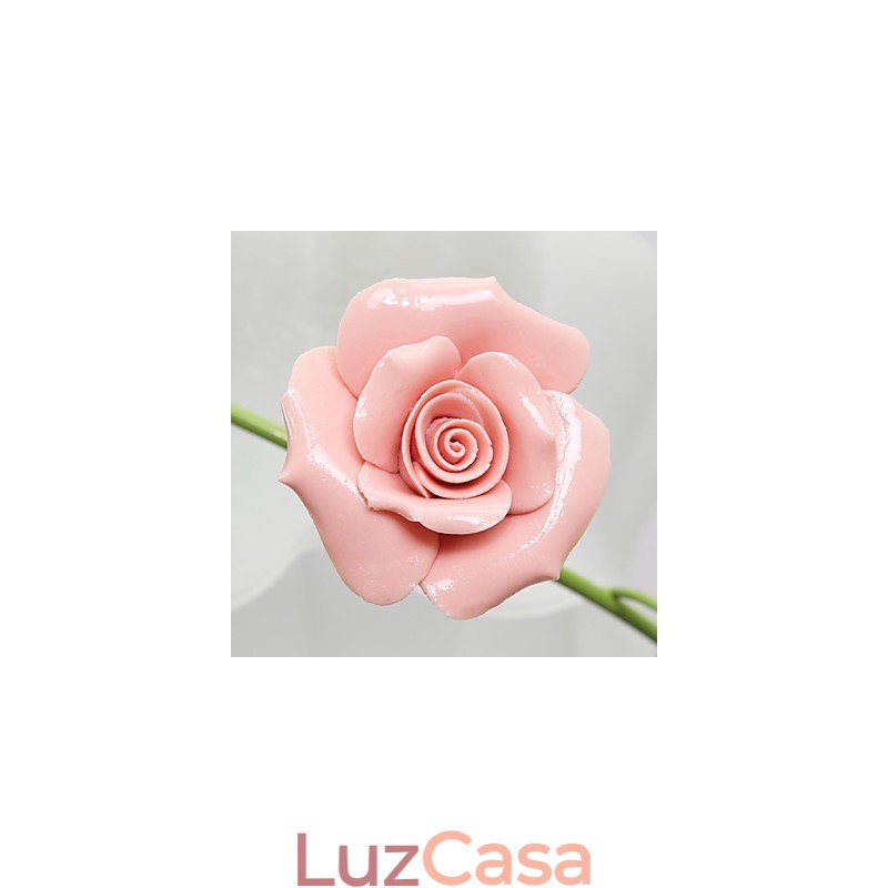 Dia dos Namorados As flores e plantas do Rose Garden absorvem a luz da cúpula