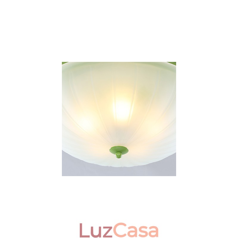 Flores e plantas de jardim do Dia dos Namorados absorvem luz de cúpula