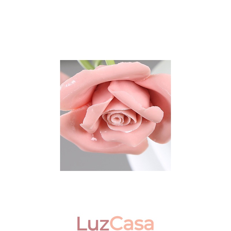 Dia dos Namorados As flores e plantas do Rose Garden absorvem a luz da cúpula