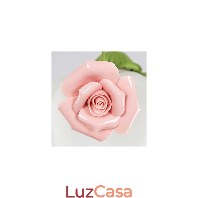 Flores e plantas de jardim do Dia dos Namorados absorvem luz de cúpula