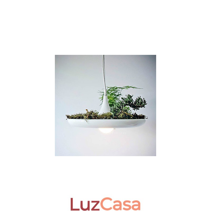 Droplight de alumínio Nordic Creative Contracted Sky Garden Lâmpadas e lanternas Luz Sem solo Planta