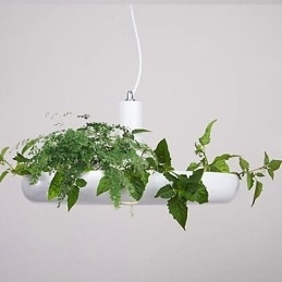 Droplight de alumínio Nordic Creative Contracted Sky Garden Lâmpadas e lanternas Luz Sem solo Planta