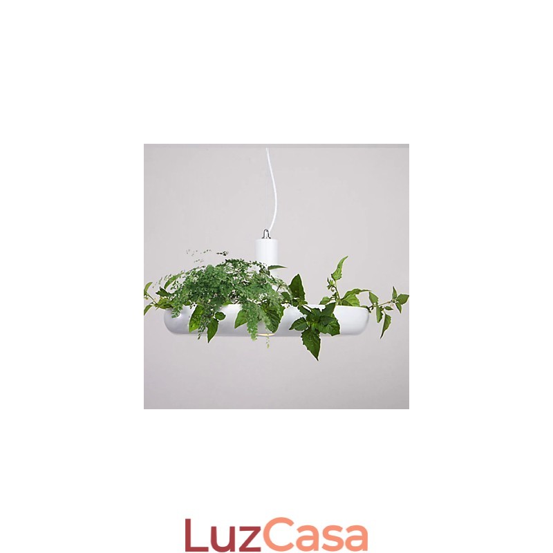 Droplight de alumínio Nordic Creative Contracted Sky Garden Lâmpadas e lanternas Luz Sem solo Planta